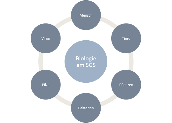 Biologie am SGS